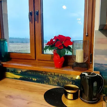 Borowka- U Podnoza Gor, 10 Min Od Stoku, Mozliwosc Wynajecia Mobilnej Bani * Debno (Nowy Targ)