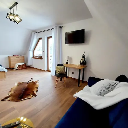 Borowka- U Podnoza Gor, 10 Min Od Stoku, Mozliwosc Wynajecia Mobilnej Bani Dębno
