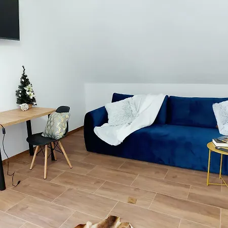 Borowka- U Podnoza Gor, 10 Min Od Stoku, Mozliwosc Wynajecia Mobilnej Bani